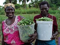 Enhancing Citizens Engagement for Sustainable Diets in Northern Uganda