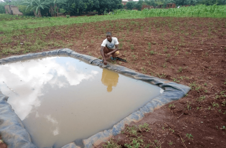 Water harvesting technology in Lamwo district
